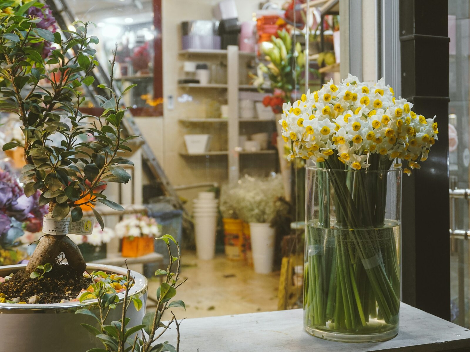 Inside the Petal and Stem flower shop
